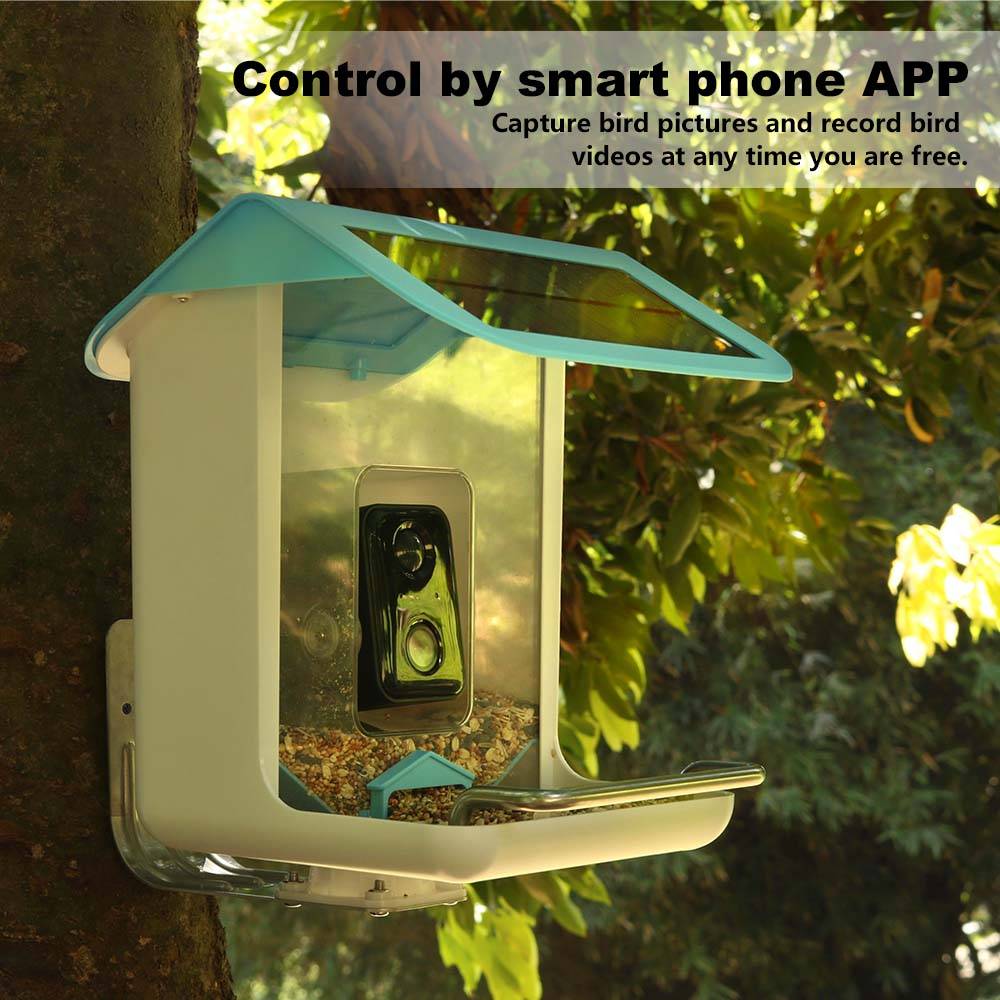 Outdoor Wildlife Wifi Camera C - đánh giá và giá Garden Camera