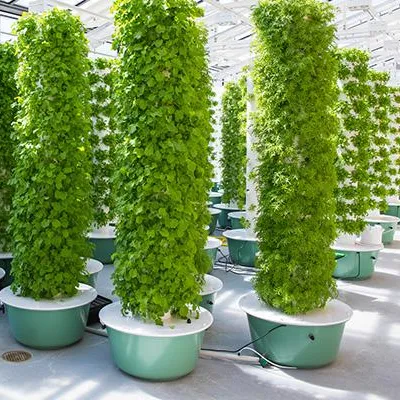 Aeroponics Towers Garden Syste - đánh giá và giá Hydroponic Tower