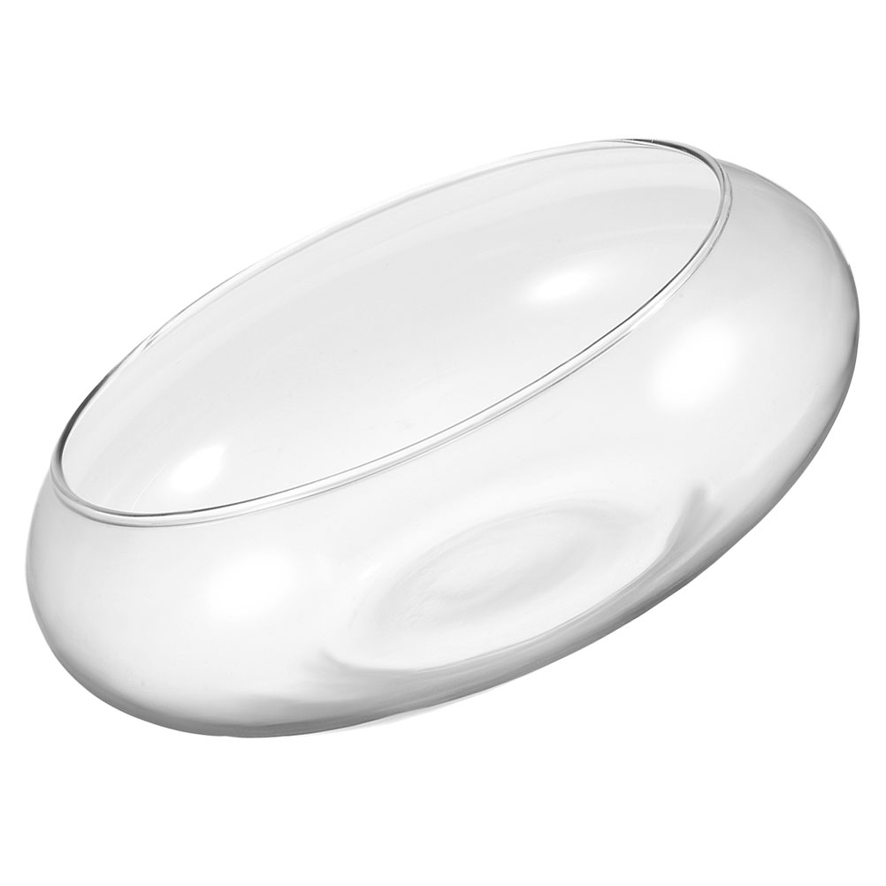 Wide Mouth Glass Vase Narcissu - đánh giá và giá Hydroponic Grow Pod