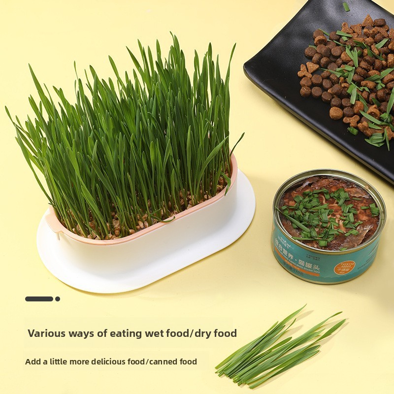 Pet Supplies Cat Snacks Cat Pl - đánh giá và giá Hydroponic Grow Pod