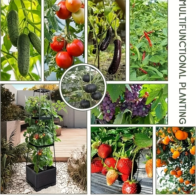 Tomato tower with self waterin - đánh giá và giá Hydroponic Tower