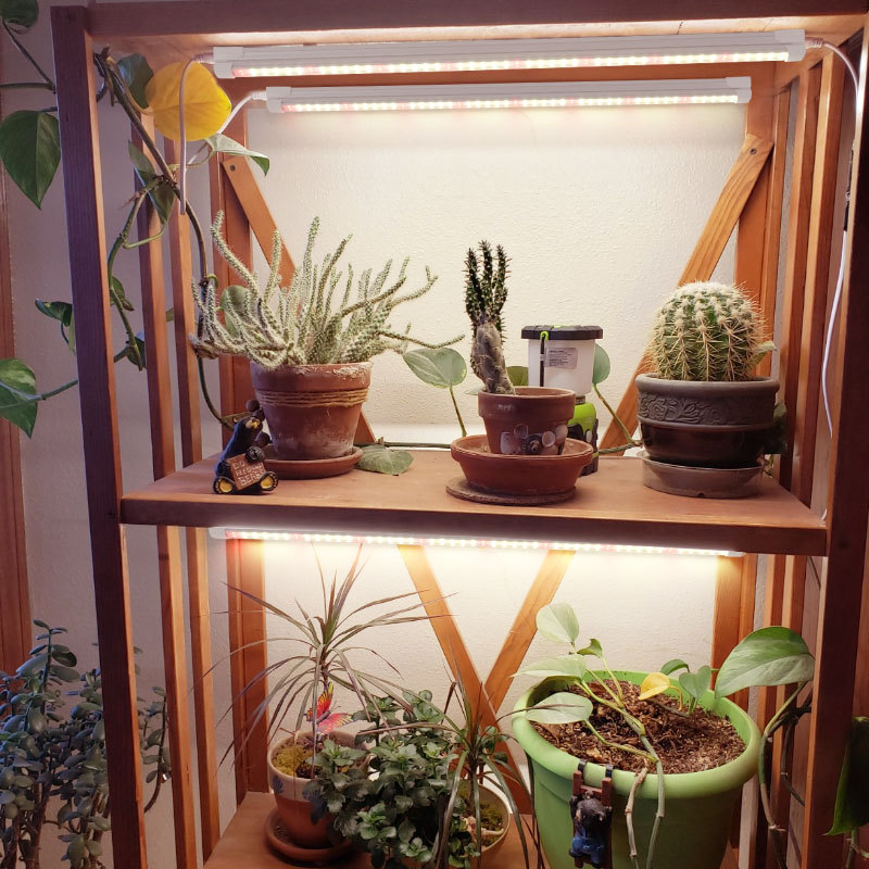 Indoor Green Plant Supplement  - đánh giá và giá Plant Grow Light Full Spectrum