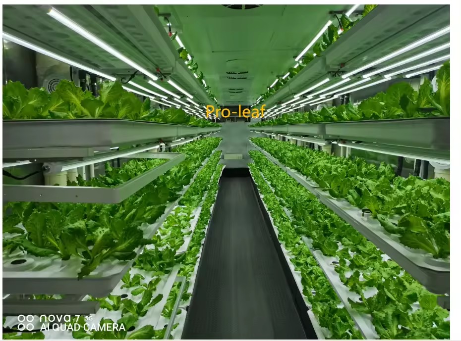 f Greenhouse Agricultural Equi - đánh giá và giá Hydroponic Tower