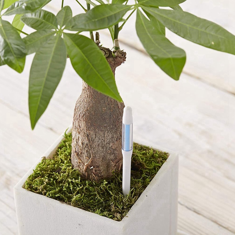 Aquameter, 5pcs, Plant Soil Mo - đánh giá và giá Plant Sensor