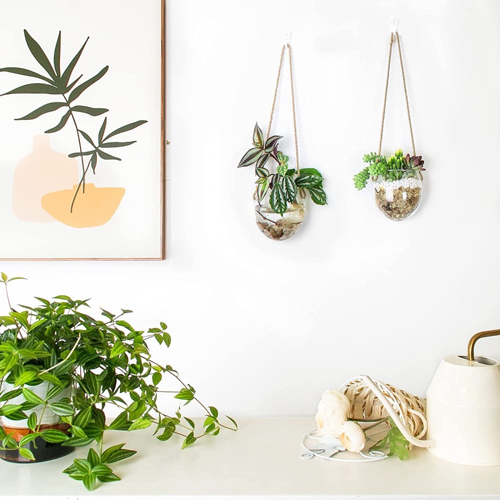 Transparent Hydroponic Hanging - đánh giá và giá Hydroponic Grow Pod