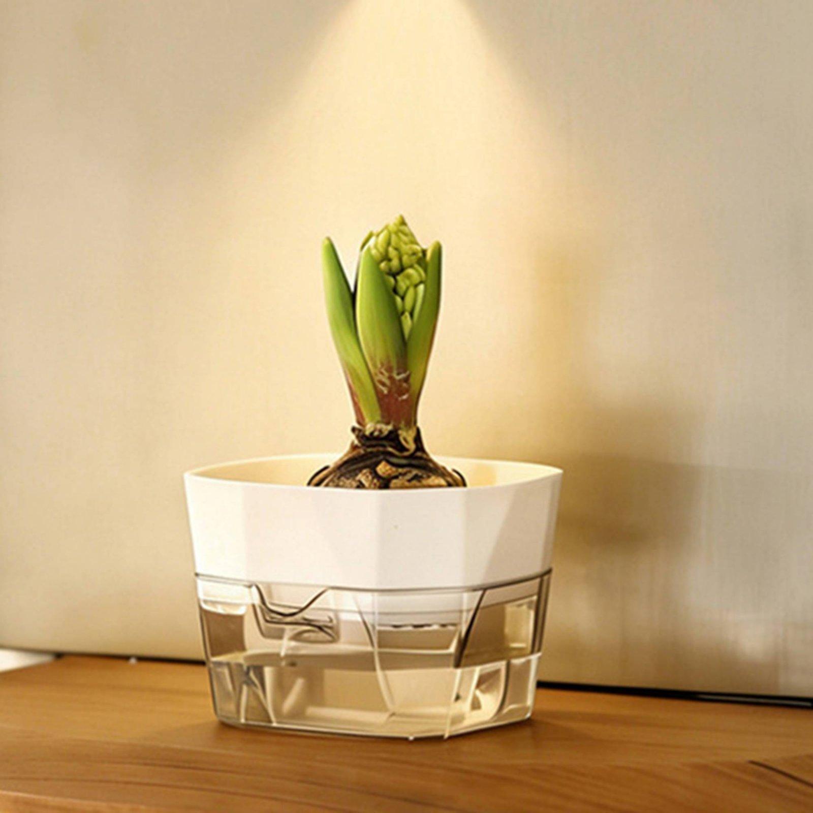 Hydroponic Vase Two Layer Self - đánh giá và giá Self Watering Planter