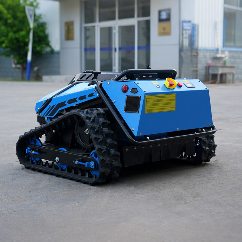 Robot Lawn Mower with Lidar Ca - đánh giá và giá Garden Camera
