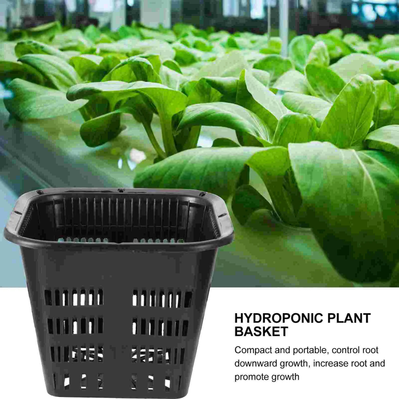 6Pcs Hydroponic Grow Baskets,  - đánh giá và giá Hydroponic Grow Pod