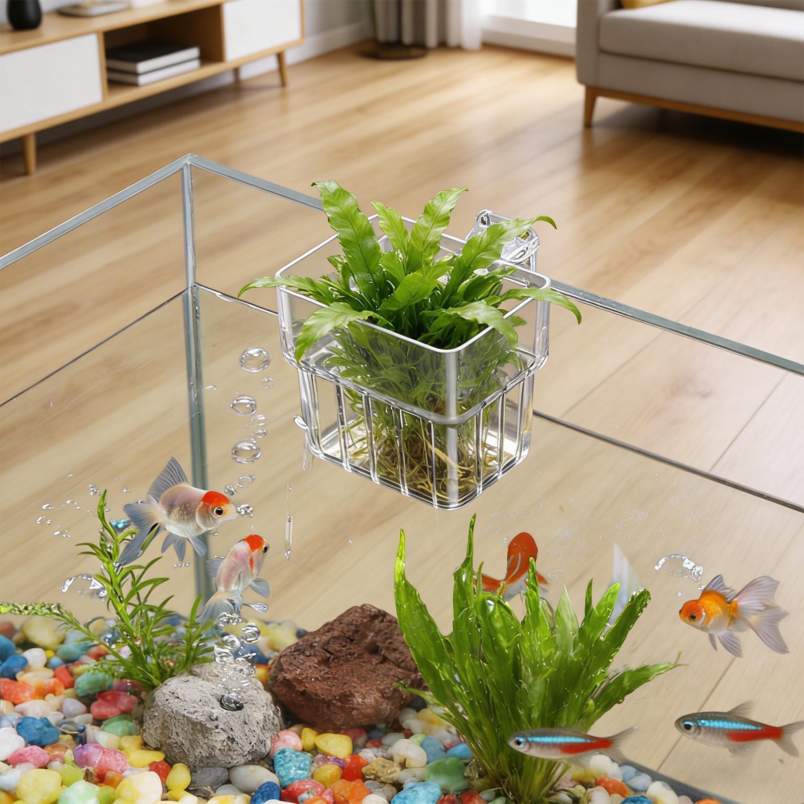 Aquarium Transparent Hanger Po - đánh giá và giá Hydroponic Grow Pod