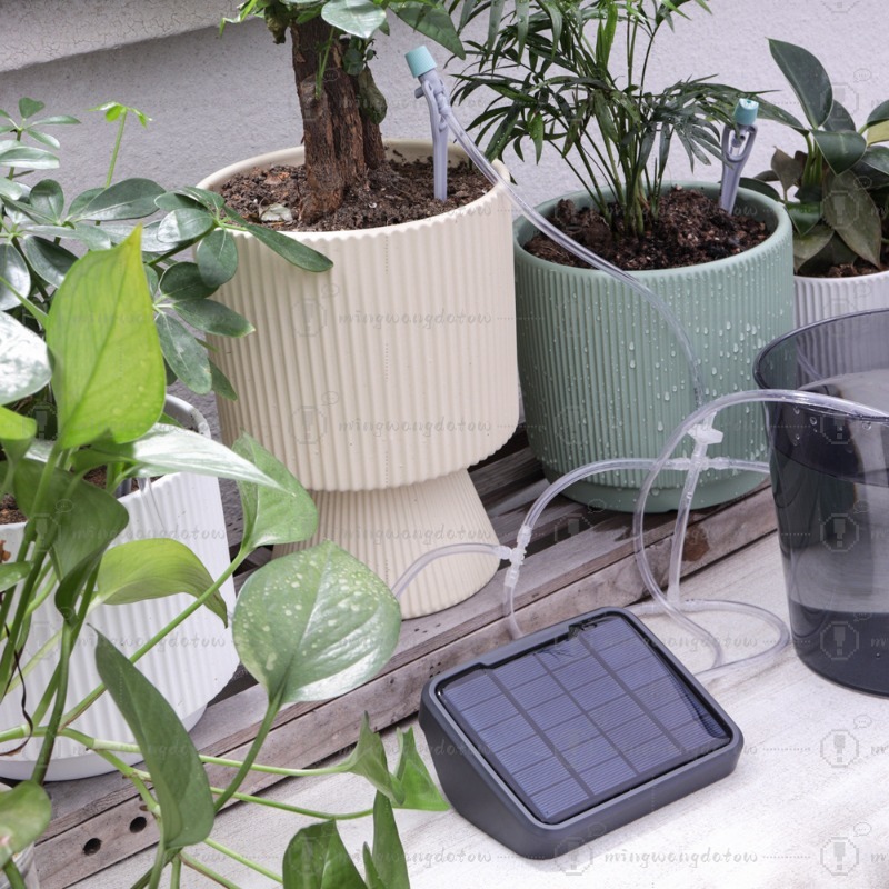 Solar Powered Automatic Wateri - đánh giá và giá Automatic Watering