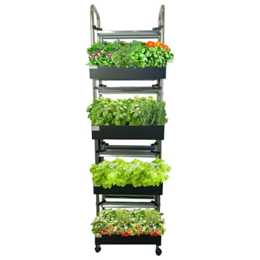 Indoor hydroponics growing sys - đánh giá và giá Smart Garden System